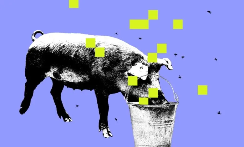 Black and white pig drinking from bucket with yellow squares on blue background.