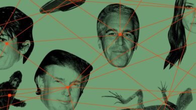 4chan Founder Denies Epstein Link to /pol/ Board Creation