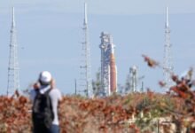 Artemis rocket on launchpad viewed through foliage and towers, person taking photo.