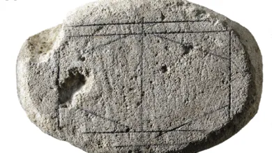 Stone artifact with geometric design etched on its surface.