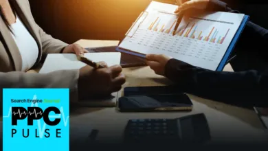 Master Performance Max: New Meridian Tool & PPC Pulse Guide