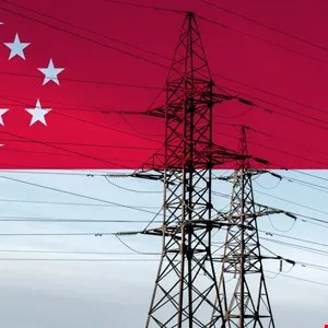 Electricity pylons overlaid with the Singapore flag, symbolizing energy infrastructure.