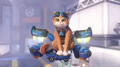 Meet Overwatch’s New Jetpack Cat: Agent of Chaos