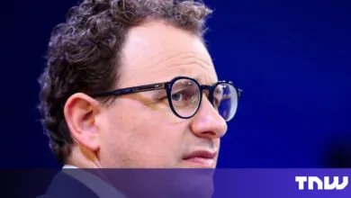 Red Lines and Red Flags: A Critical Perspective