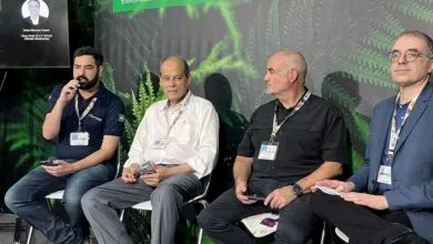 Four men sit on chairs at a conference, with a green fern backdrop.