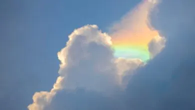 Linux 6.x Era Ends with a Cloud Admin’s Dream Kernel