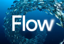 School of fish forming a circle with the word 'Flow' in the center.