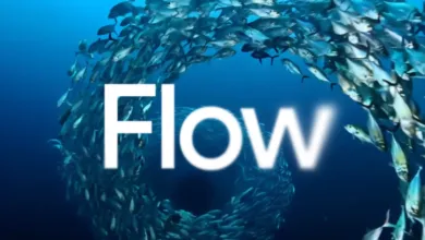 Autodesk Sues Google Over 'Flow AI' Video Tool Name