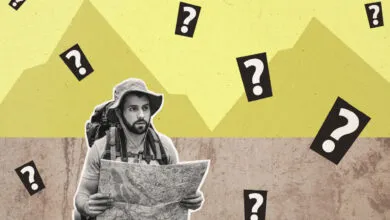 Can Your Brand Survive Without Paid Media?