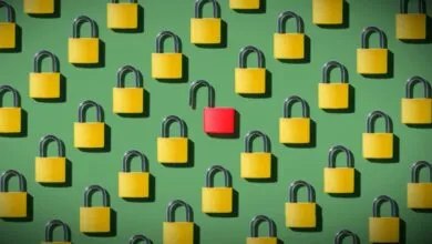 Student admissions site bug leaked children’s data