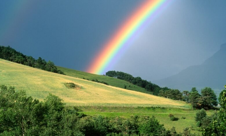 Vibrant rainbow arches over a green hillside landscape.