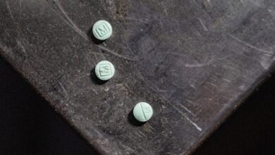 FBI Asset Ran Dark Web Site Selling Fentanyl for Years