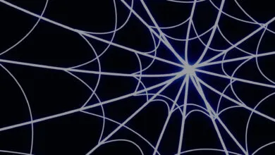 Googlebot Crawling Limits: What You Need to Know