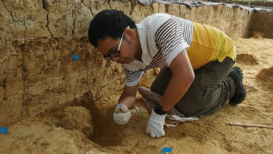 Ancient Chinese Skulls Rewrite Human History
