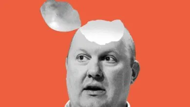 Is Marc Andreessen a Philosophical Zombie?