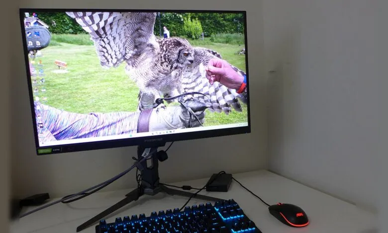 Predator monitor displaying an owl perched on a gloved hand.