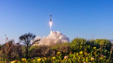 Rocket ascends into blue sky with exhaust plume, seen from field of flowers.