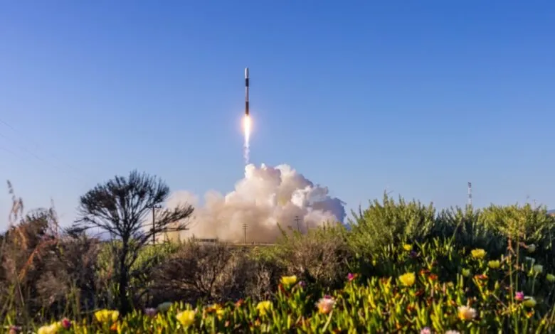 Rocket ascends into blue sky with exhaust plume, seen from field of flowers.