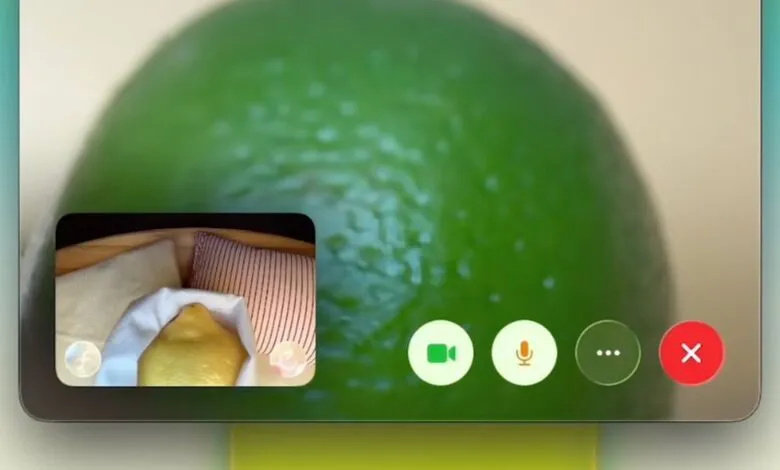 Video call interface with a lime background and lemon in a bed inset.