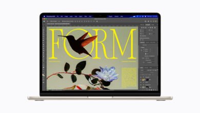 MacBook Air displaying Adobe Photoshop with a magazine layout featuring a hummingbird and floral design.
