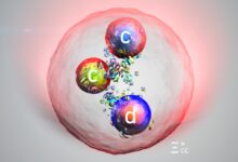 Illustration of a subatomic particle with two charm quarks and one down quark.