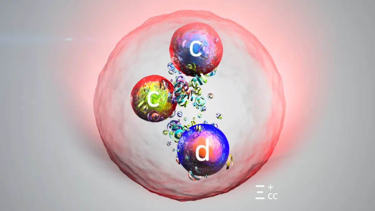 Illustration of a subatomic particle with two charm quarks and one down quark.