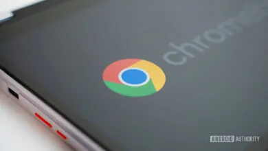 Popular Chrome Extension Flagged for Malware