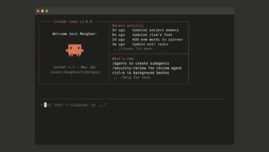 Claude Code v2.0.0 interface with welcome message and recent activity.