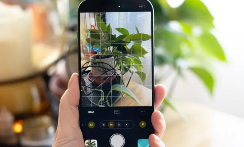 Hand holds phone displaying a potted plant with grid lines for photography.