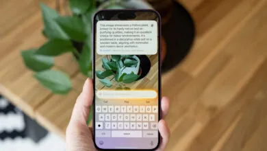 Hand holding phone displaying ChatGPT description of a Pothos plant.
