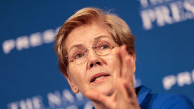 Elizabeth Warren speaks with hand raised in front of a blue backdrop.