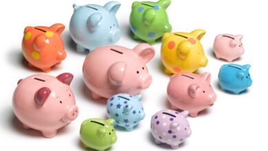 Collection of colorful piggy banks in various sizes and patterns.
