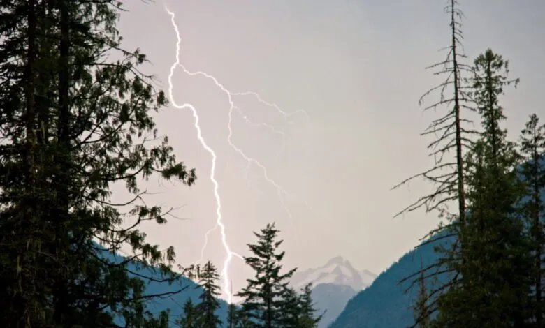 Lightning strikes near mountains framed by trees in a dramatic landscape.