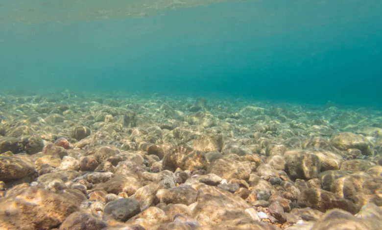 Underwater view of a rocky seabed with clear turquoise water above.