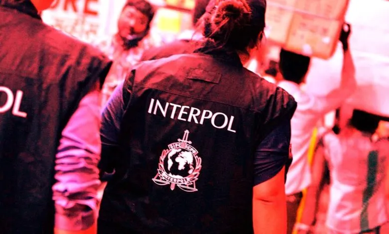 Interpol agents in vests with logo, surrounded by people.