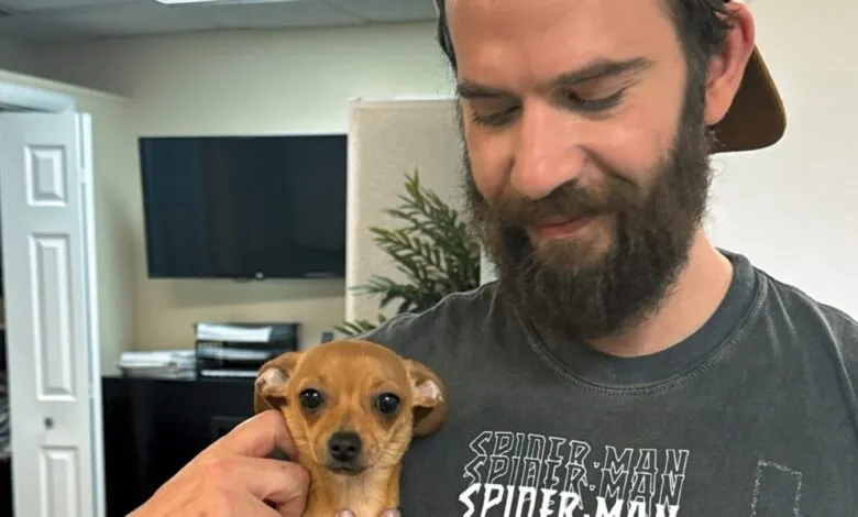 Man with beard holds small brown chihuahua indoors.