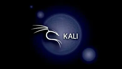 Kali Linux logo: white dragon and text on blue globe background.