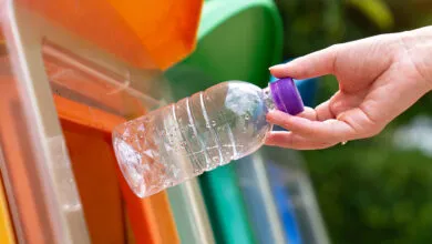 Hand placing plastic bottle into recycling bin with color-coded slots.