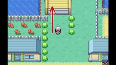 Fast Money Glitch: Nugget Bridge Exploit Guide