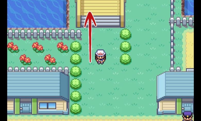 Pokemon trainer approaches Nugget Bridge in FireRed/LeafGreen game.