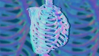 Stylized ribcage illustration with vibrant colors and blurred background.