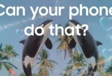 Two orca statues face each other with text 'Can your phone do that?'