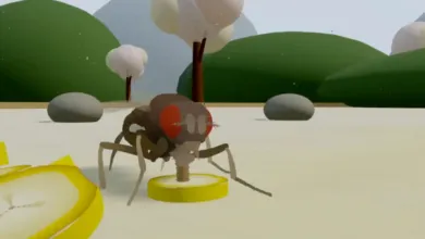 Beyond the Fly: A Digital Reality Unveiled