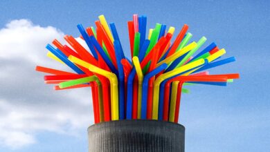 Colorful straws in a gray container against a blue sky backdrop.