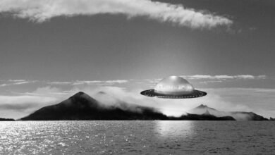 DMT Encounters: What Alien Visions Teach Us