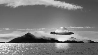 DMT Encounters: What Alien Visions Teach Us