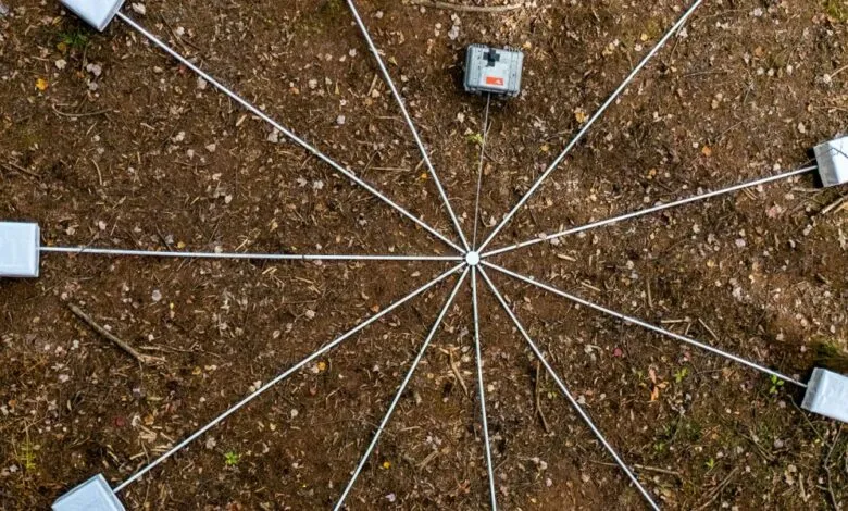 Overhead view of a scientific experiment setup in a forest.