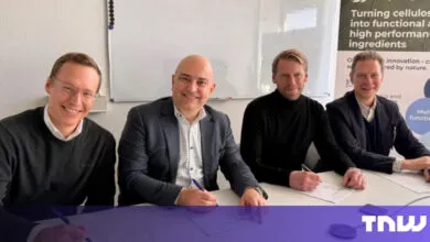 Seprify Secures €13.4M to Replace Titanium Dioxide with Cellulose