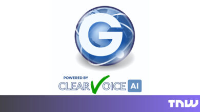 ClearVoice AI logo with a globe and checkmark.