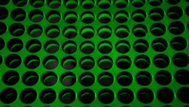 What Do You Really Think of Us?